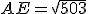 AE=\sqrt{503}