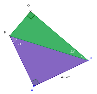 علم المثلثات في المثلث القائم