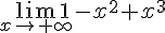 \lim_{x \to +\infty} 1-x^2+x^3 