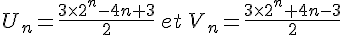 U_n=\frac{3\times   2^n-4n+3}{2}\,et\,V_n=\frac{3\times   2^n+4n-3}{2}