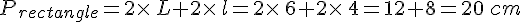 P_{rectangle}=2\times  \,L+2\times  \,l=2\times  \,6+2\times  \,4=12+8=20\,cm