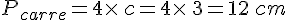 P_{carre}=4\times  \,c=4\times  \,3=12\,cm
