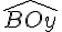 \widehat{BOy}