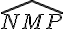 \widehat{NMP}