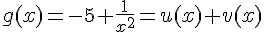 g(x) = -5 + \frac{1}{x^2} = u(x) + v(x)