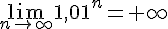 \lim _{n\to \infty}1,01^n=+\infty