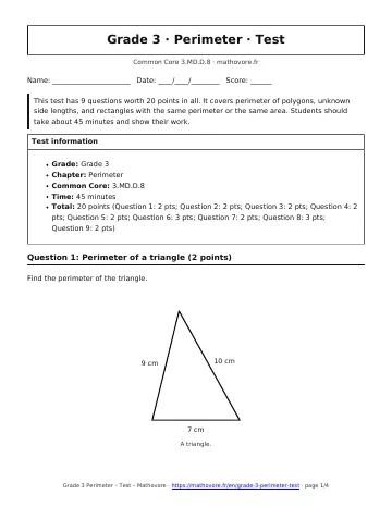 Page 1 of the Grade 3 Perimeter test PDF