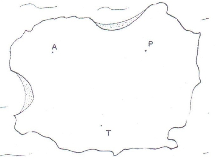 carte de l’île d'yeu et triangle.