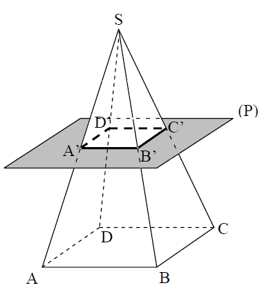 sección piramidal