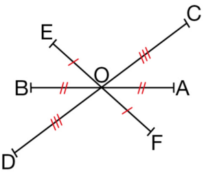 parallélogramme 1
