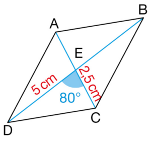 parallélogramme 8