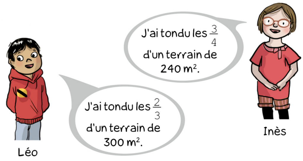 superficie de pelouse