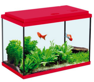aquarium