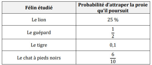 brevet blanc de maths 2025 5