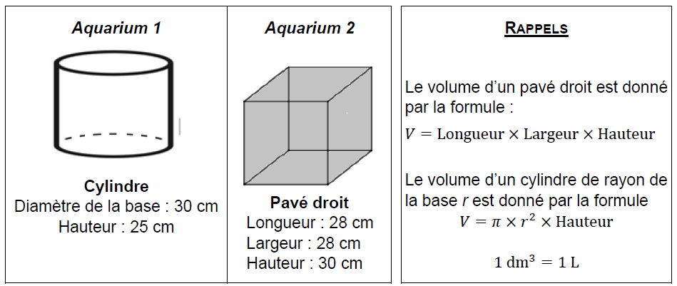 Asie Pacifique brevet de maths 2025 19