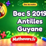 Bac S 2019 Antilles Guyane : sujet et corrigé