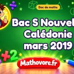 Bac S Nouvelle Calédonie mars 2019 : sujet et corrigé