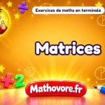 Matrices : exercices en terminale spécialité de maths corrigés en PDF