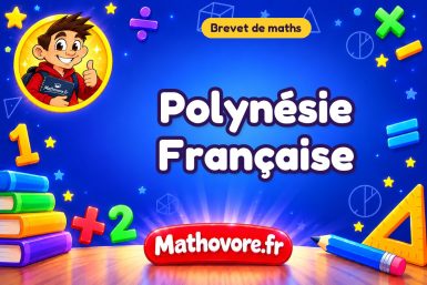 Polynésie Française : brevet de maths 2024 avec sujet et corrigé en PDF.
