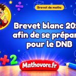 Brevet blanc de maths 2023 afin de se préparer pour le DNB