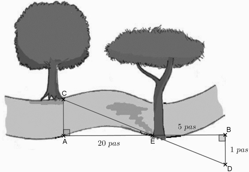 Brevet maths 2022, exercice 1 : schéma de la rivière avec points A et C face à face sur les deux rives avec un angle droit en A, point E sur la rive à 20 pas de A, point B à 5 pas de E dans l’alignement de A et E, point D à 1 pas de B avec un angle droit en B ; les droites (CD) et (AB) se coupent en E