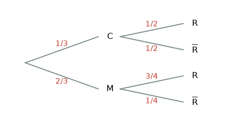 Arbre : cinéma 1/3, musique 2/3, bonne réponse 1/2 et 3/4