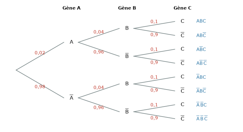 Arbre pondéré complété des mutations des gènes A, B et C avec les huit issues – probabilités terminale corrigé