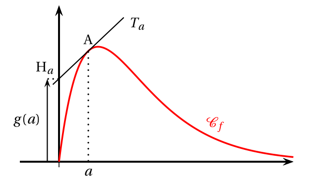 Courbe rouge de f(x) = x e^(-x) partant de l'origine, montant jusqu'à un maximum puis décroissant vers l'axe des abscisses ; tangente T_a au point A d'abscisse a, qui coupe l'axe des ordonnées au point H_a d'ordonnée g(a)