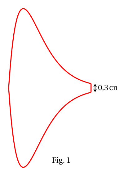 Fig. 1 : contour rouge du logo, symétrique par rapport à un axe horizontal, pointu à gauche et fermé à droite par un petit segment vertical de 0,3 cm