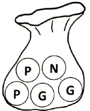 Dessin d'un sac contenant cinq boules marquées P, N, P, G et G