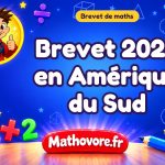 Brevet de maths 2024 en Amérique du Sud : sujet et corrigé
