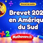 Brevet de maths 2025 en Amérique du Sud : sujet et corrigé