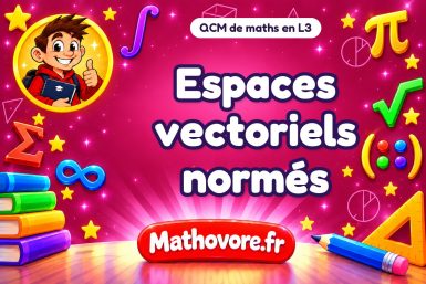 Espaces vectoriels normés : QCM de maths en L3