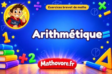 Exercices brevet de maths : Arithmétique, sujets des annales