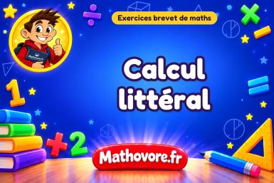 Exercices brevet de maths : Calcul littéral, sujets des annales
