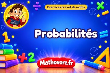 Exercices brevet de maths : Probabilités, sujets des annales