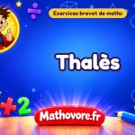 Exercices brevet de maths : Thalès, sujets des annales