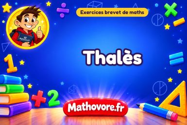 Exercices brevet de maths : Thalès, sujets des annales