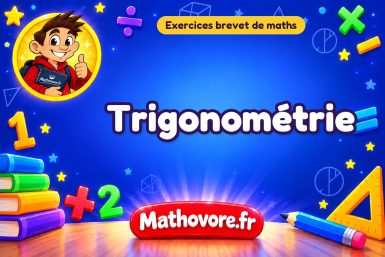 Exercices brevet de maths : Trigonométrie, sujets des annales