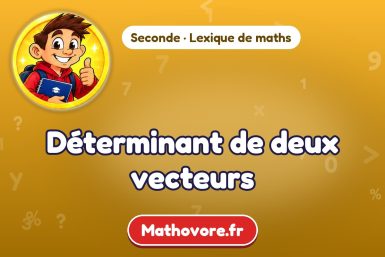 Déterminant de deux vecteurs : définition et exemple – lexique de maths Mathovore