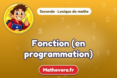 Fonction (en programmation) : définition et exemple – lexique de maths Mathovore