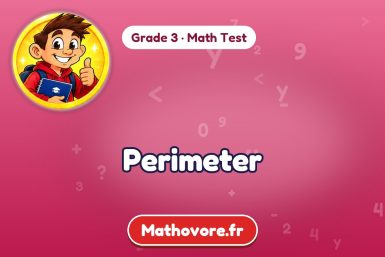 Perimeter – Grade 3 math test