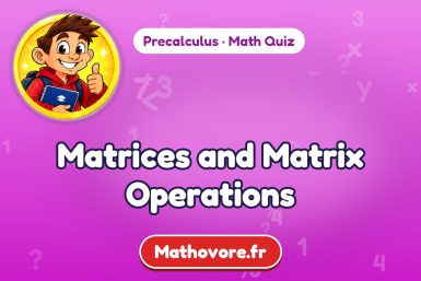 Matrices and Matrix Operations – Precalculus math quiz