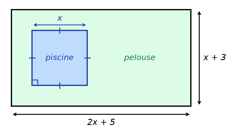 Jardin rectangulaire de côtés 2x + 5 et x + 3 contenant une piscine carrée de côté x, le reste en pelouse
