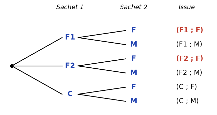 Arbre : sachet 1 F1, F2, C puis sachet 2 F ou M, six issues dont (F1 ; F) et (F2 ; F) en rouge