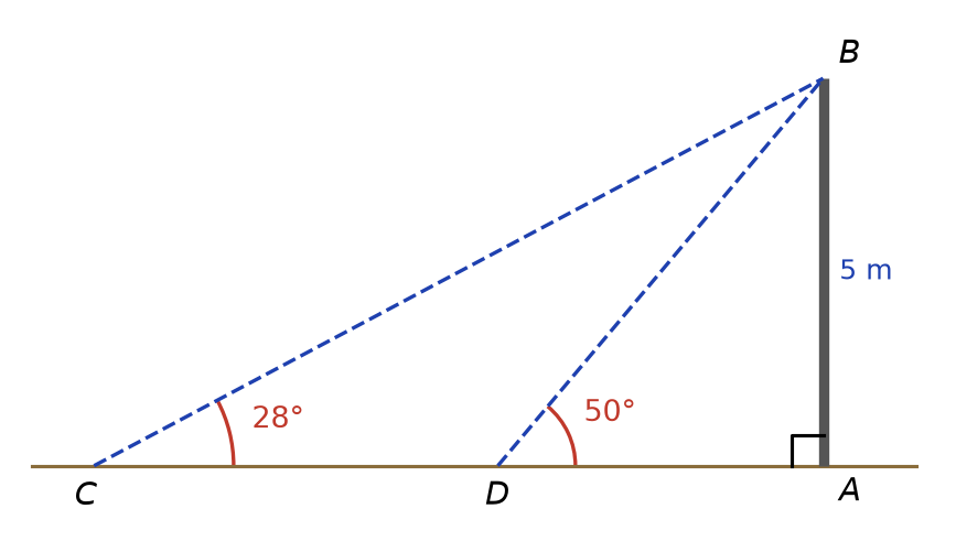 Poteau vertical AB de 5 m, points C et D au sol alignés avec A, angles de 28 degrés en C et 50 degrés en D