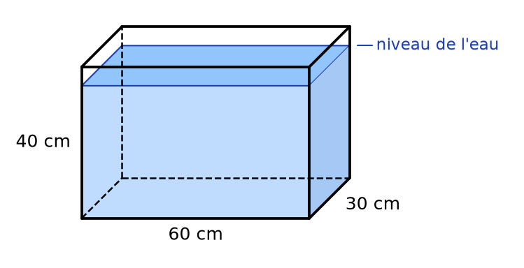 Aquarium en forme de pavé droit de 60 cm sur 30 cm et 40 cm de haut, rempli d'eau presque jusqu'en haut