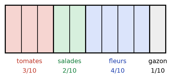 Rectangle partagé en 10 bandes égales : 3 pour les tomates, 2 pour les salades, 4 pour les fleurs et 1 pour le gazon