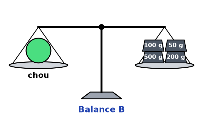 Balance B équilibrée : un chou d'un côté, quatre masses marquées de 500 g, 200 g, 100 g et 50 g de l'autre côté