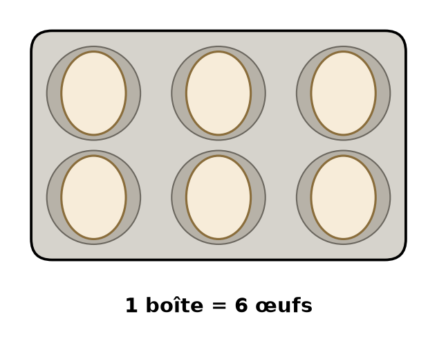 Une boîte à œufs pleine contenant six œufs rangés en deux lignes de trois